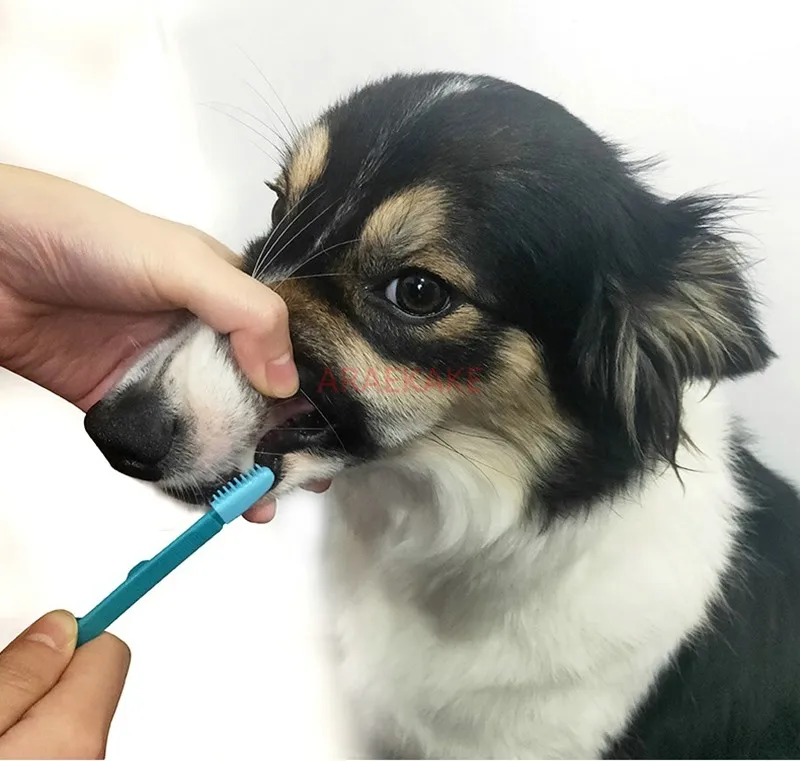 Multi functional cleaning brush for pets, eye droppings clip for dogs, cats, brushing teeth, cleaning teeth, and removing black