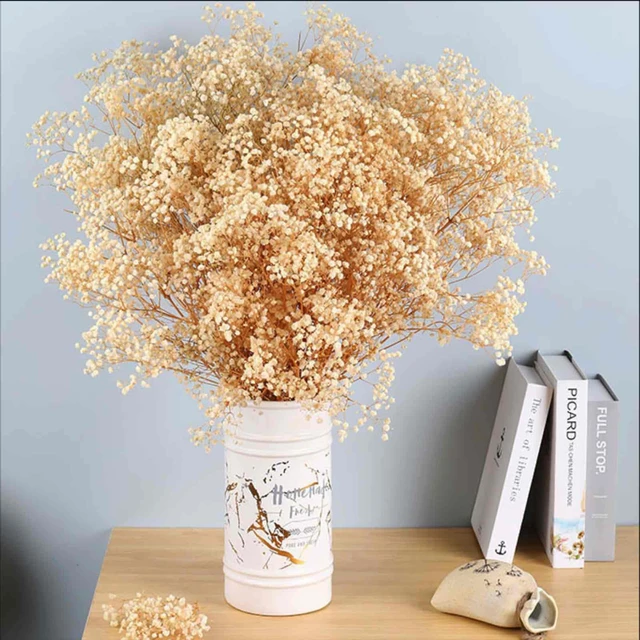 90g Dried Babys Breath Flowers Bouquet Ivory White Dry Flowers,Natural  Gypsophila Branches Wedding Decor,DIY Wreath Card Making