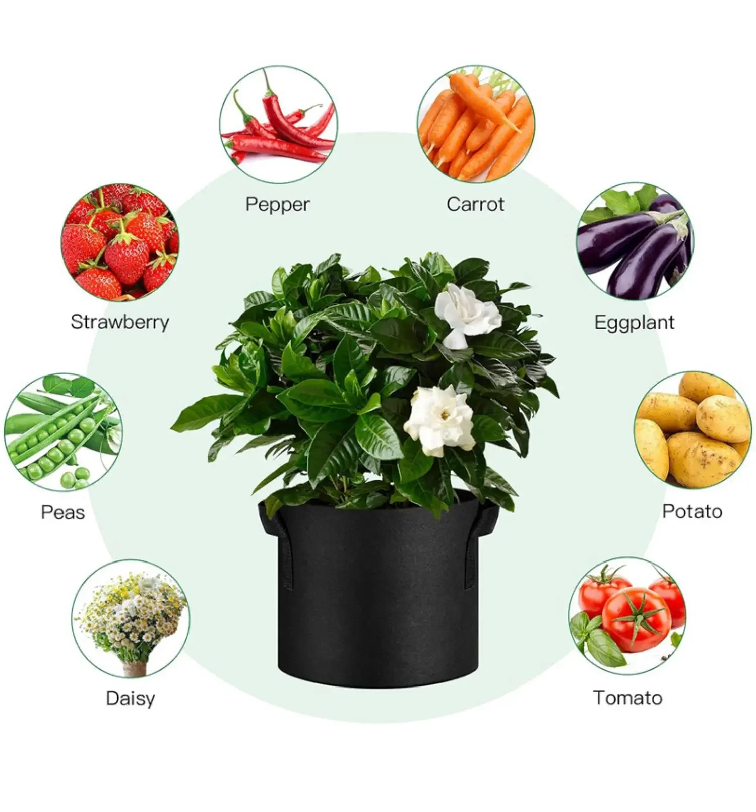 Plant Grow Bags 5-Pack Aeration Fabric Pots with Handles 3/4/5/7/30 Gallon