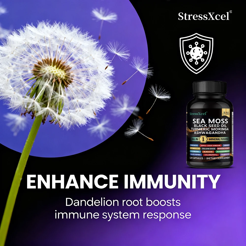 Sea Moss Black Seed Oil Ashwagandha Ginger Capsule Supplement with Turmeric Vitamin C Vitamin D3 Enhanced Immunity & Energy
