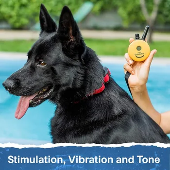 Dog Training, Waterproof Remote Trainings Collar - 100 Trainings Levels Plus Vibration and Sound, Dog Training 4