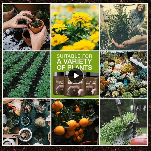 Keményítő Gyökérzetű Növény Virággyökér Porral Aktivált Talaj Aktivátor Kincs Műtrágya Forró Nagykereskedelem Gyors