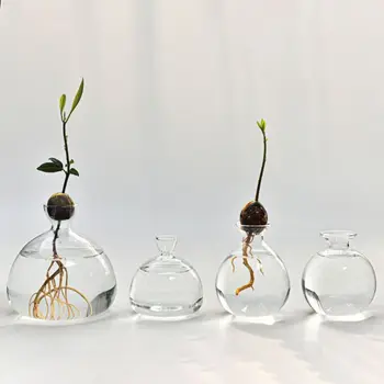 Vaso idroponico di Avocado trasparente vaso di avviamento di semi di vetro semplice vaso di piante Kit di coltivazione di semi di bottiglia di aromaterapia bel regalo 1