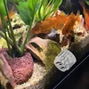 10/1pcs Aquarium Planarians Trap Acrylic Transparent 8-Hole Red Shrimp Worm Trap Leech Pest Catcher Fish Tank Cleaner Tools 2