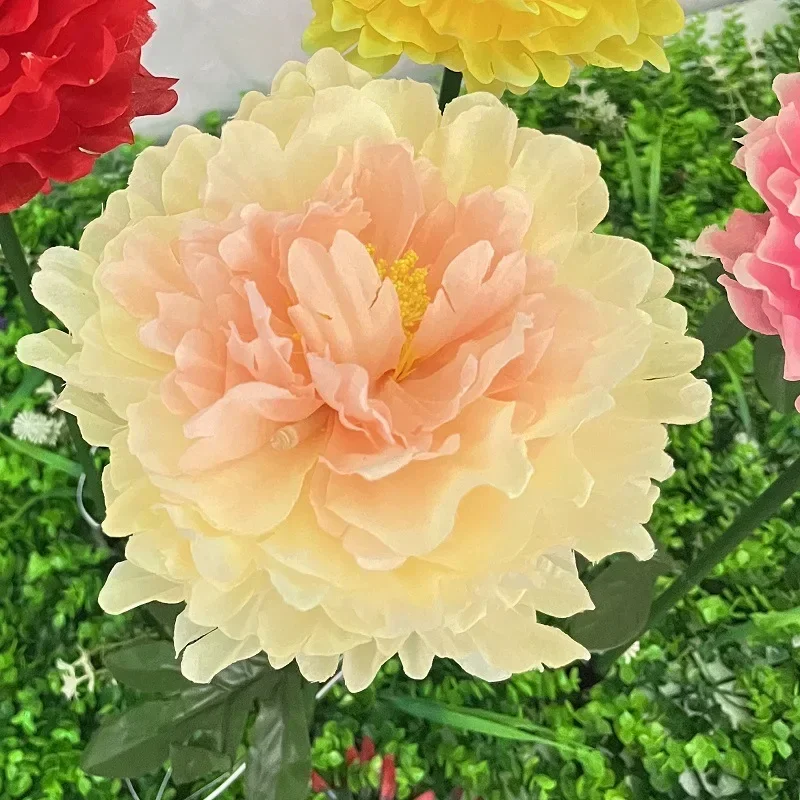 Slide image 6528e0ce1c0d47a6b1152c99e51b1338