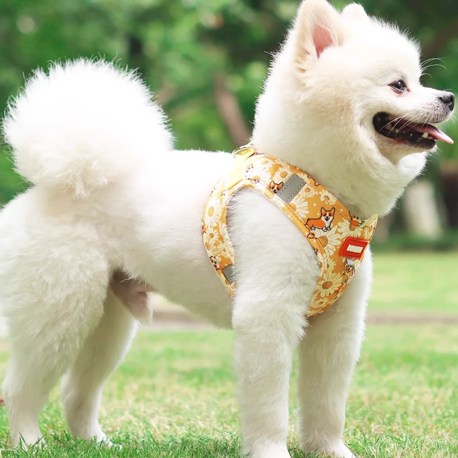 

Cute Adjustable New Dog Lead Leash Puppy Luxury Durable Anti-Loss Harness Elastic Walking Arnes De Gato De Paseo Pet Accessories