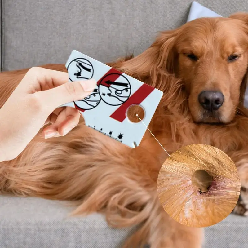 Kit Remoção Carrapatos 5 Peças - Pinças Seguras Pets Humanos Alumínio