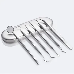 Premium Stainless Steel Dental Tool Set - Tartar Remover & Interdental Pick (6 piece)