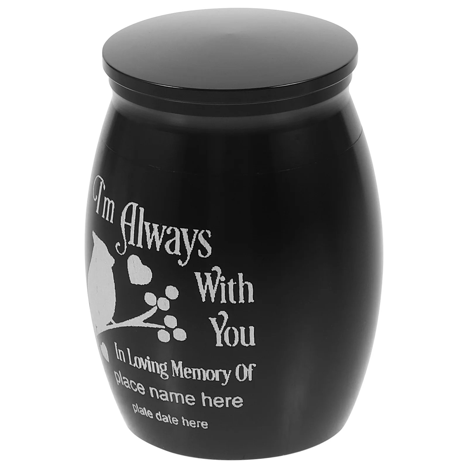

Small Pet Parrot Bird Cinerary Casket Keepsake Metal Pet Urn Container Cremation Urn