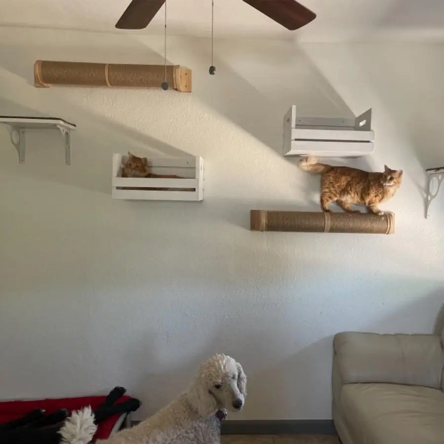 Title 2, Wall Mounted Cat Climbing Frame Cat Hammock and...