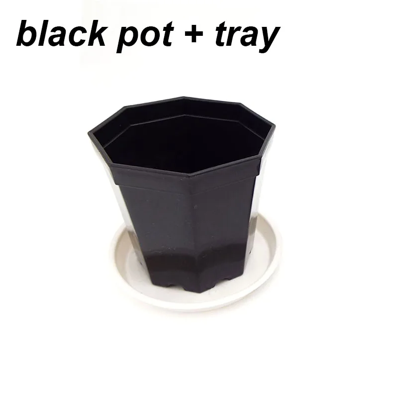 black pot and tray