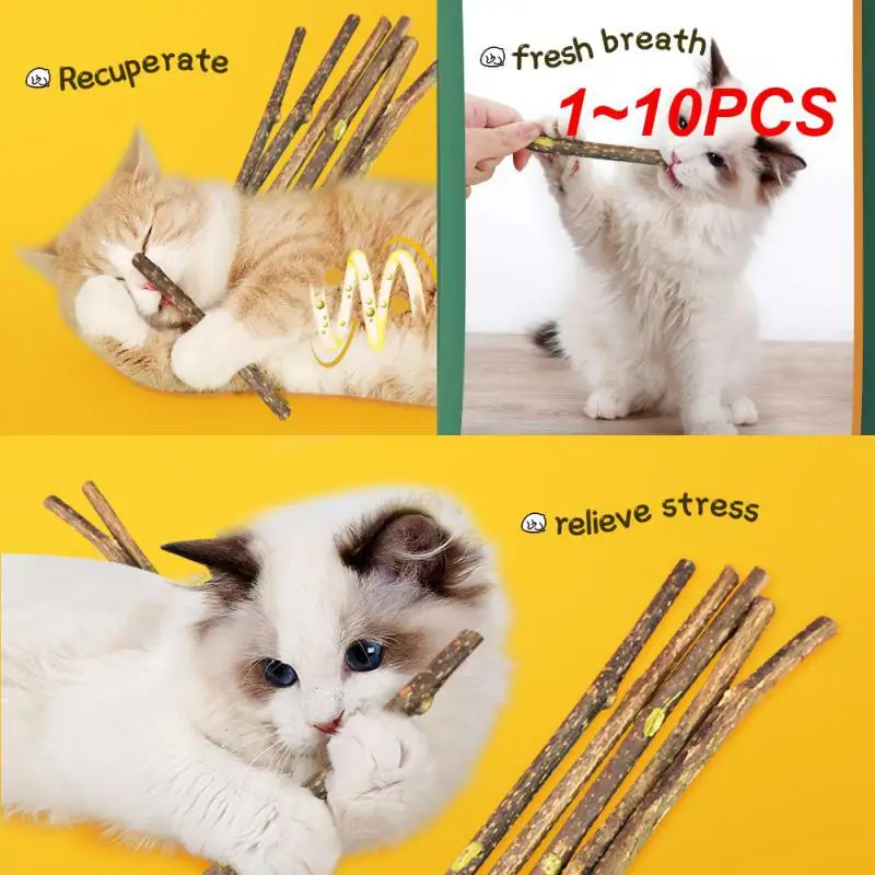 

1-10 шт./набор, зубная палочка для кошачьей мяты