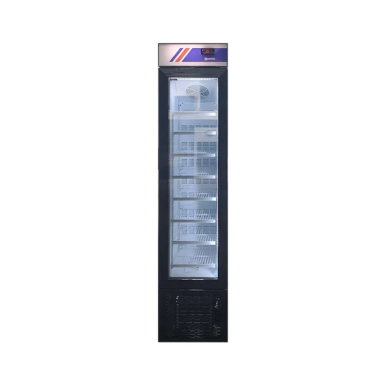 105L Commercial Slim Upright Ice Cream Popsicle Freezer With Heated Glass Door