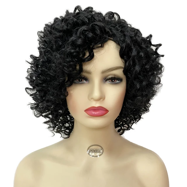 GNIMEGIL Female Afro Kinky Curly Wig Synthetic Fiber Colly Curls Wigs for Black Women Fashion Dark Brown Hair Replacement Wig Black