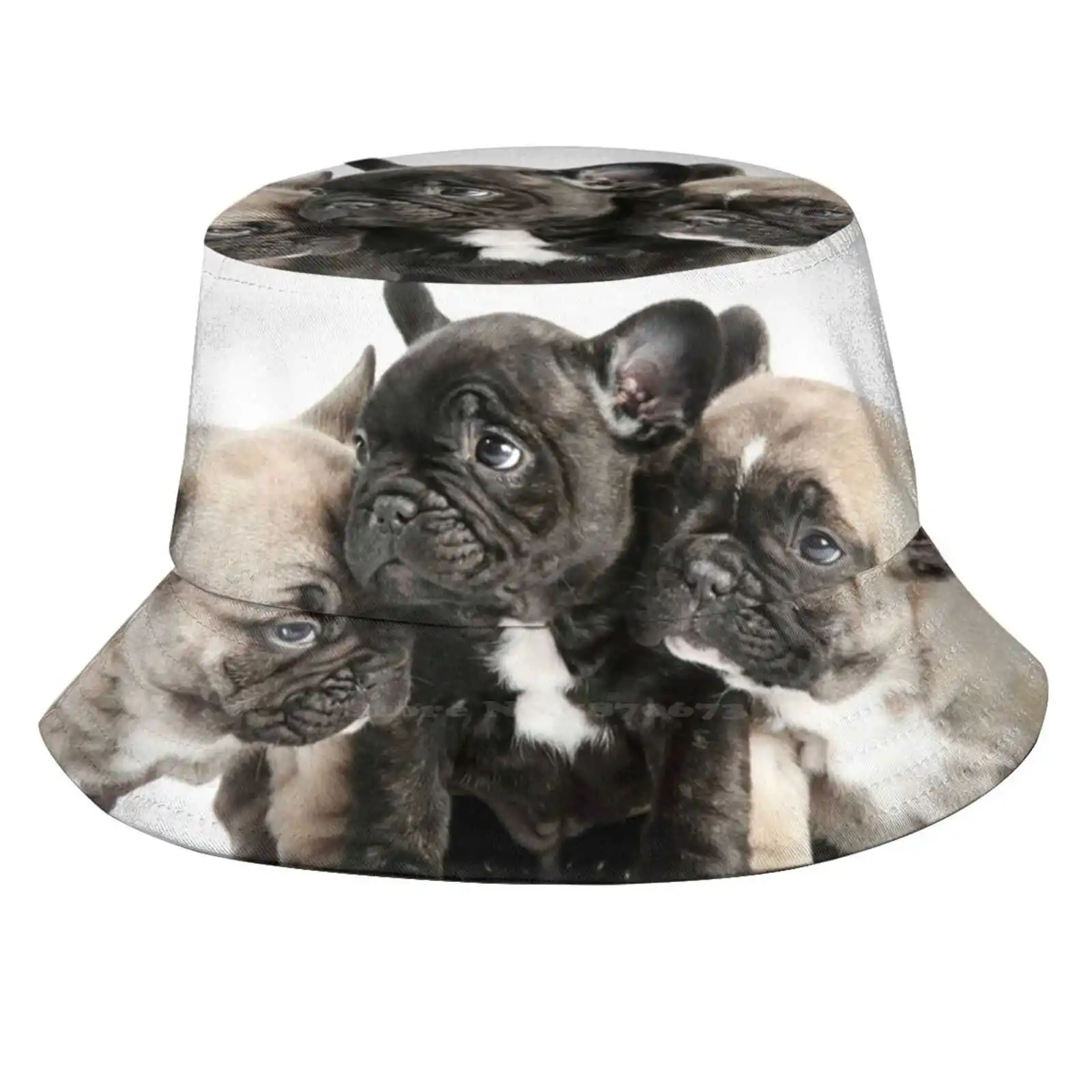 Frenchie Pals Cappello Da Pescatore Cappelli Da Pescatore Berretti Frenchie Simpatici Cuccioli Facce Carine Animali Divertenti Facce Rugose Cane Canin