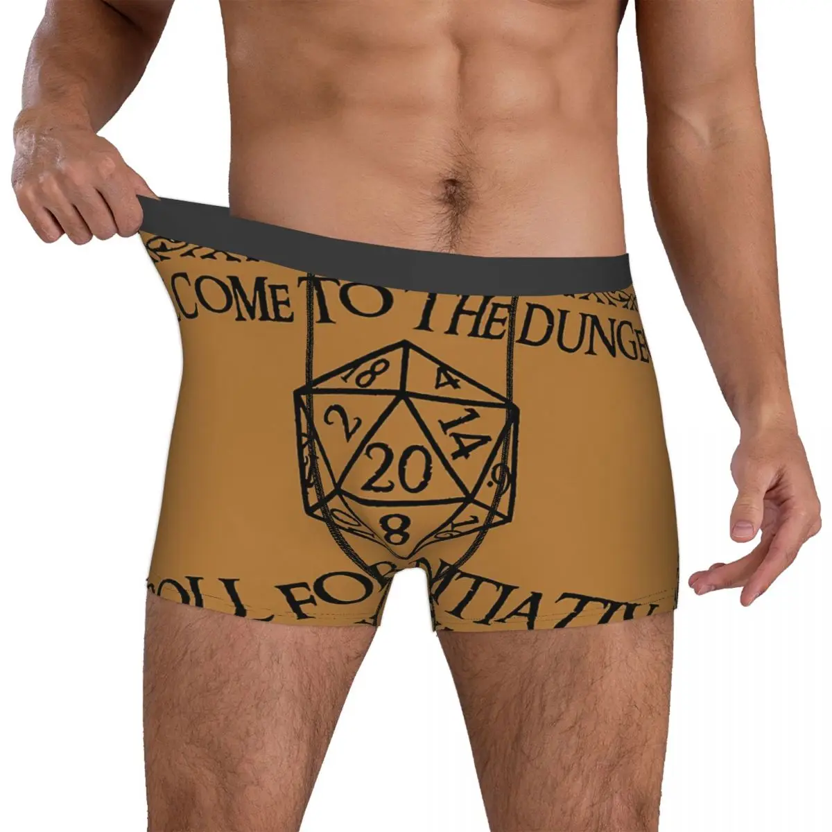 Roll For Initiative Men Boxer Briefs DnD Game Highly Breathable Underpants High Quality Print Shorts Gift Idea 4