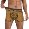 Roll For Initiative Men Boxer Briefs DnD Game Highly Breathable Underpants High Quality Print Shorts Gift Idea 4
