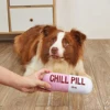 Interactive Plush Pill-Shaped Dog Toy with Squeaker - Durable, Bite-Resistant Chew Toy for Pet Play and Dental Health 5