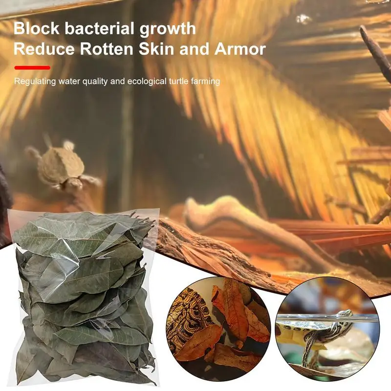 

50Pcs Betta Aquarium Accessories Create Realistic Habitat Fish Toys Betta Shrimp Leaves Longan Leaf Improve Water Quality