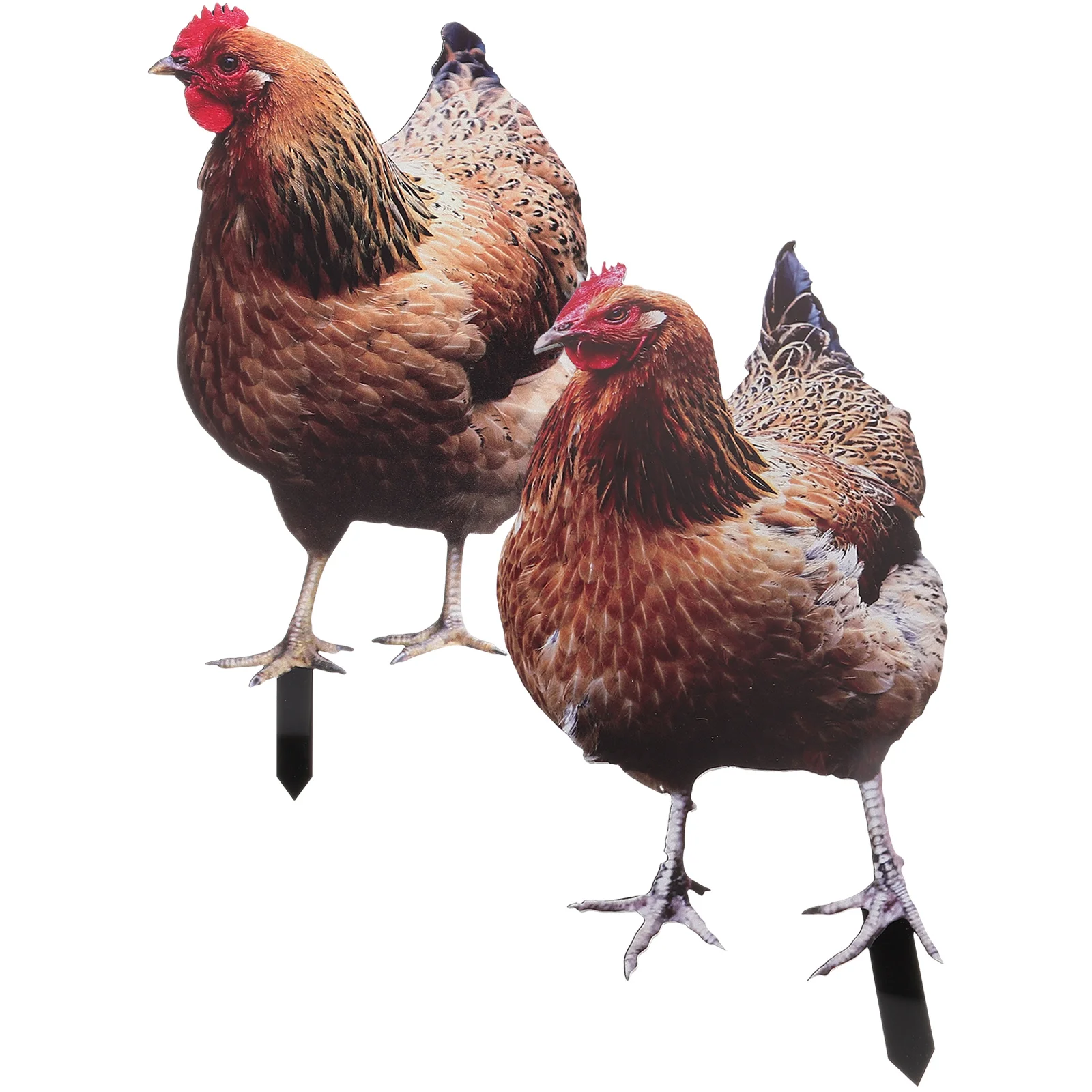 

Chicken Garden Decoration Stake Accessory Yards Hen Lawn Sign Decorative Stakes