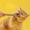 New Cat Toys Teeth Cleaning Bite Prevention Cleaning Teasing Cats Cat Sticks Self Entertainment Pet Supplies Pet Toys Cat Toy