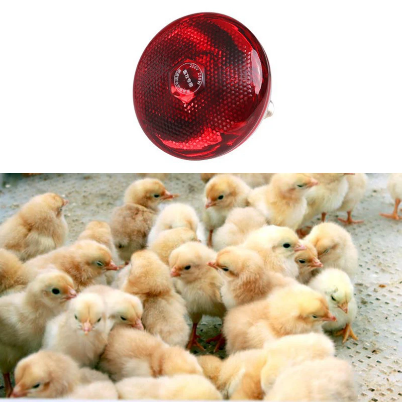 100W/150W/200W Farm Light Thermal Preservation Pig Chicken E27 Thicken High Quality Infrared Light Bulb Brooder Heat Lamp