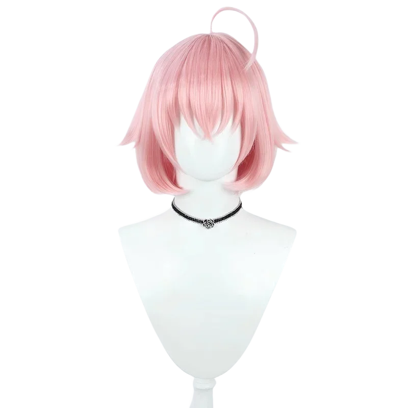 ī ȣó ڽ ڽƬ  Ʈ,   ī̺