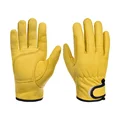 A Yellow
