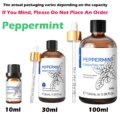 Peppermint