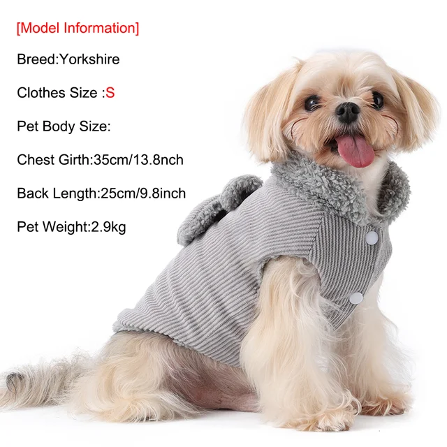 Bow Coat 5
