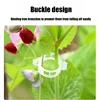 50-300Pcs Plastic Plant Support Clips Reusable Plastic Ties Trellis Stake Clips Greenhouse Holder for Garden Tools Accessories 3