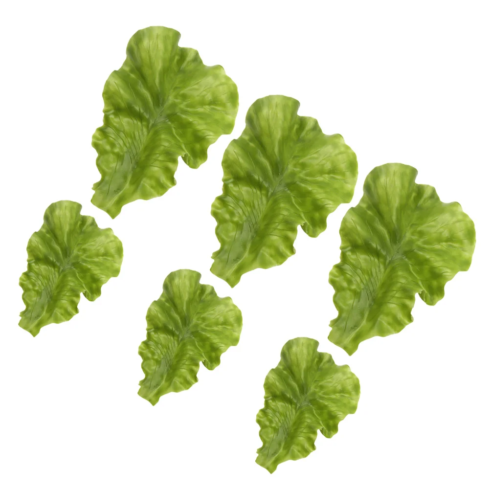 ¥   ¥ ä , ֹ ΰ ǰ öƽ, 6 
