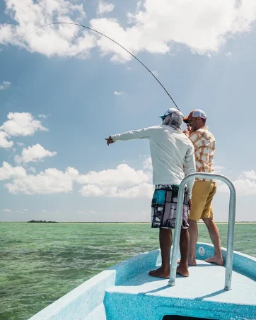fly fishing rods
