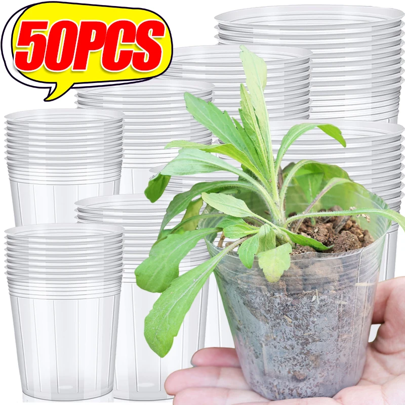 Ntcpefy 2 vasi per orchidee con fori, vaso in ceramica per orchidee da 10 cm, per rinvaso, vaso per fiori per interni ed esterni, traspirante