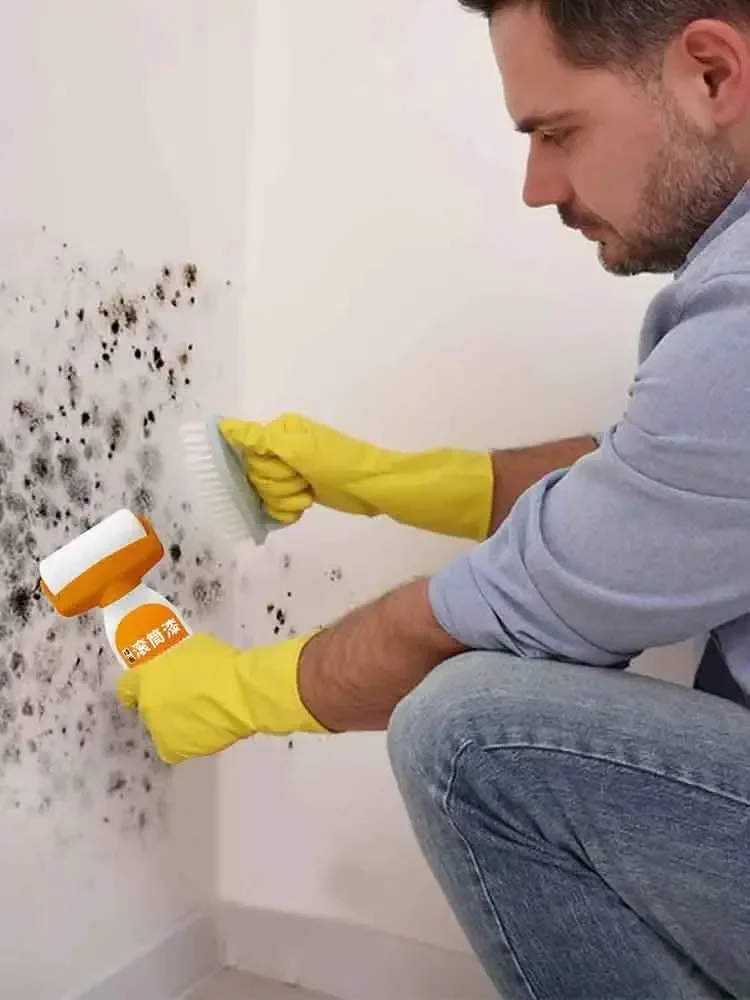 Description Picture 3 of item5PCS Antibacterial Wall Paint Roller Waterbased Repair Brush Painting For House Interior Wall Portable White Latex Paint Roller