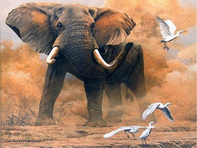 DIY 5D Diamond Painting Baby Elephant Animal Cross Stitch