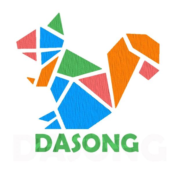DASONG2 Rare Toy Store