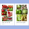 Science RAZ / Reading A-z RAZ Graded Reading Picture Book Children Learning English Book Kids Toys Educational Material File 4