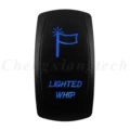 LIGHTED WHIP