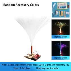 STEM Educational DIY Science Experiment Kit (Wooden)