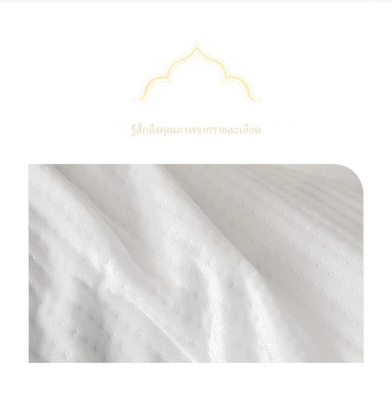 Description Picture 6 of itemDropshipping Customizable Size Mattress Soft Mattress Home Tatami Mat Was The Floor Mat Student ZHA03-37999