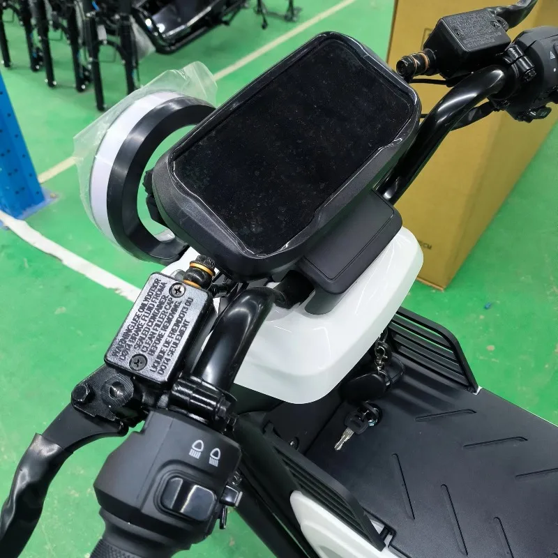 BR Luyuan OEM Factory High Speed Electric Motorcycles Scooter 60v 16inch Long Range Electric City Bike 1000W 1500W 5