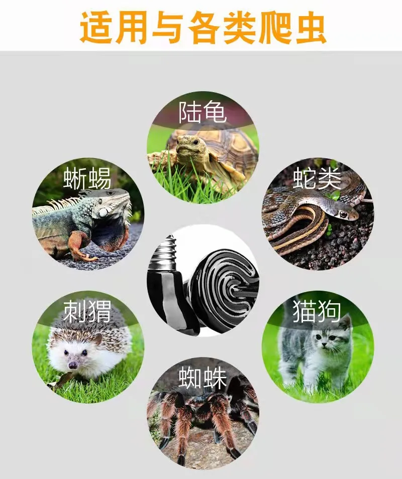 805366b35fef2b3c234de8de5edb44