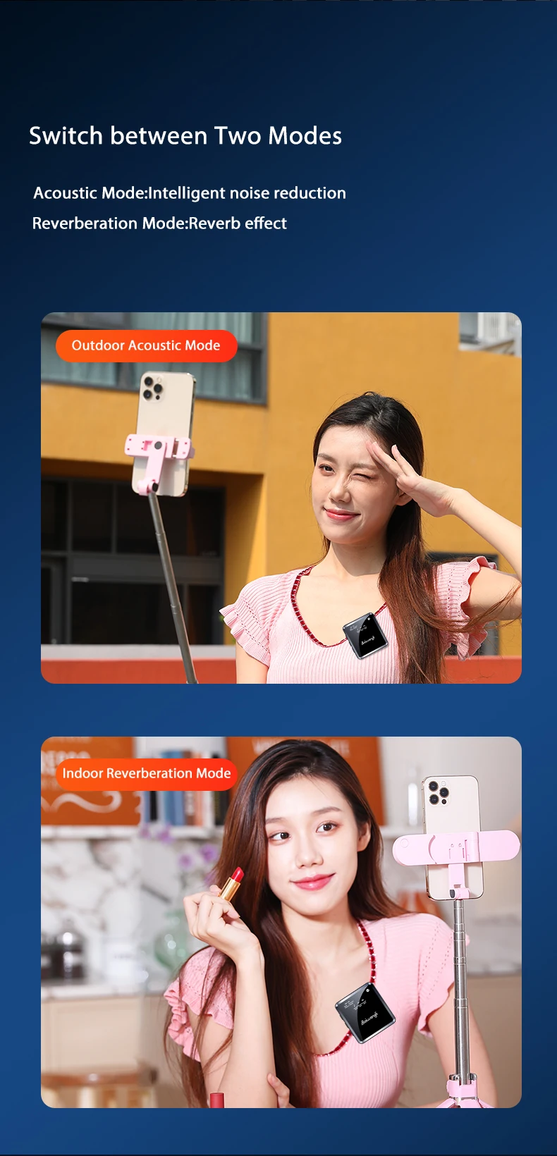 Baiwangli SX39 Dual Wireless Microphone description image 9
