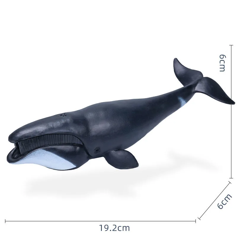 Ocean Animals Action Figures Sealife Collection - PVC Figurines for Home Decoration and Kids' Educational Gift