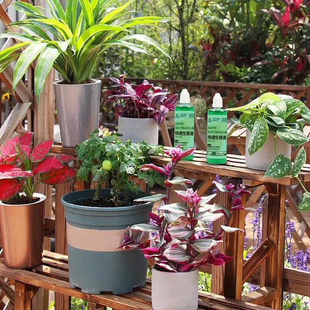Növény Gyökerező Folyékony Növényi Tápanyag -Oldat Kiegészítése Gyors Gyökérgyökér Gyökérfokó Oldat Növények És Virágok Számára - Image 2
