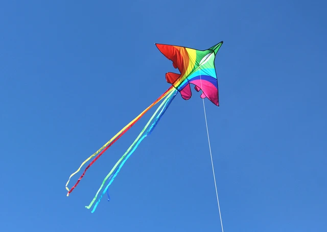 Em promoção! Frete Grátis 600 Cm Macia Grande Pipa Voando Picada Linha De  Brincar Ao Ar Livre 3d De Kite Windsocks Pé No Céu Pipas De Nylon Brisa  Voar Aquilone