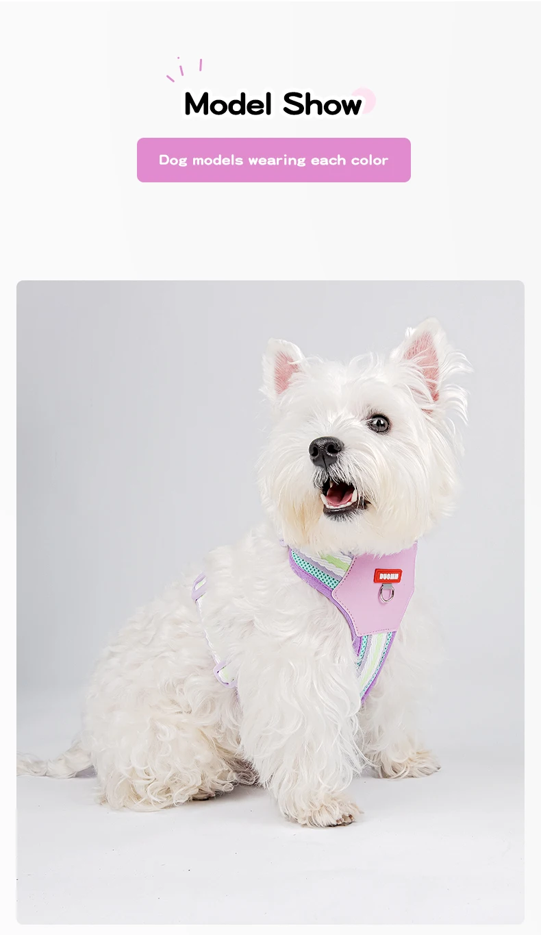 Color Block Harness For Small Dogs Breathable Mesh Pet Walking Lead_voghion.com