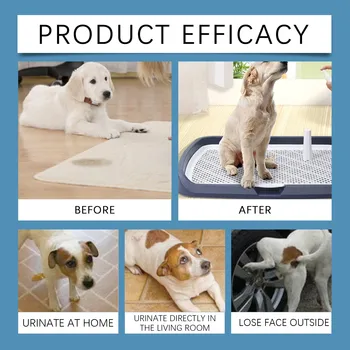 Toilet Training Spray 5