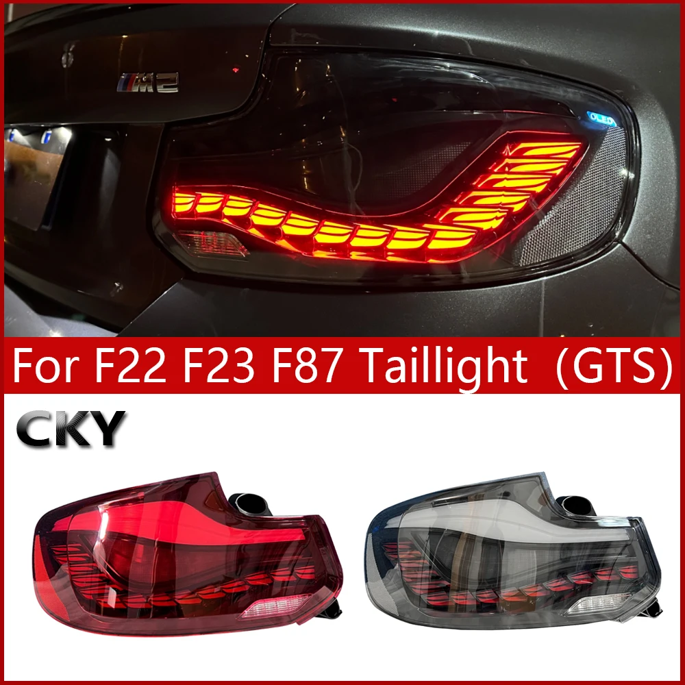 

Car Taillight For BMX 2Series M2 F22 F23 F87 GTS Style 218i 220i 230i with Dragon Scale Suspended Sequential Tail Lamp Assembly